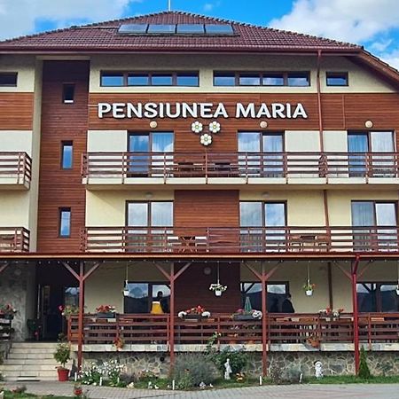 Pensiunea Maria Gilău Eksteriør billede