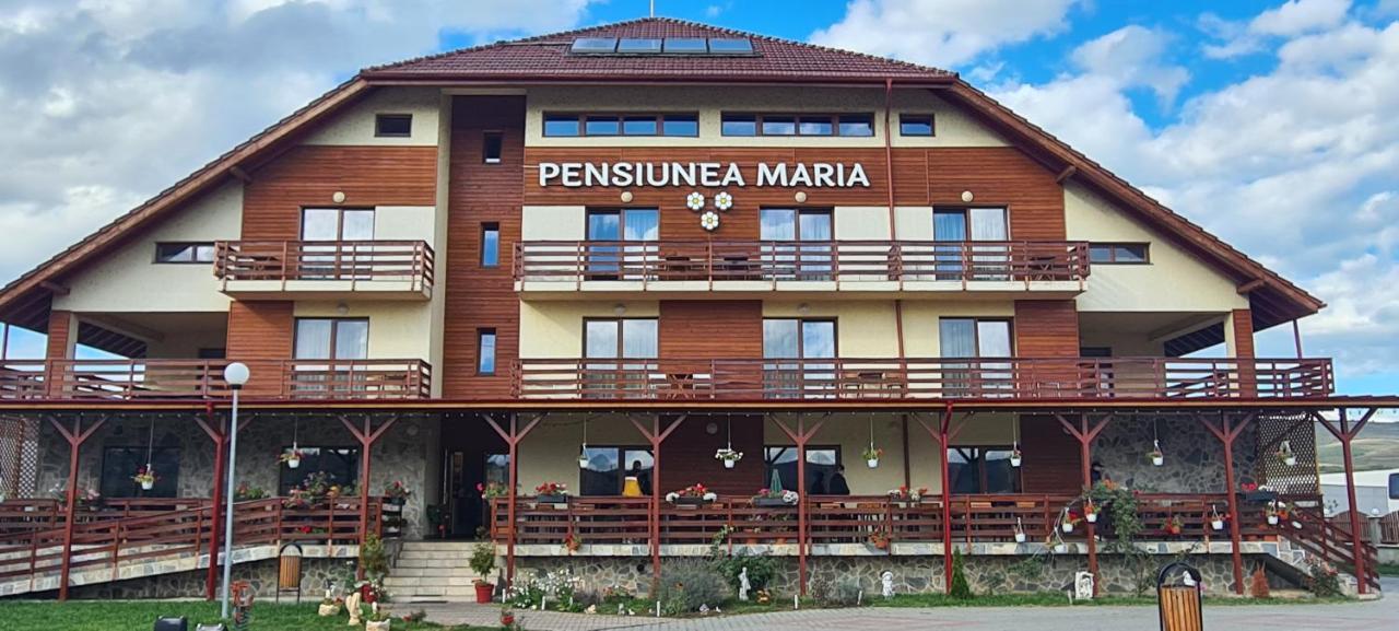 Pensiunea Maria Gilău Eksteriør billede